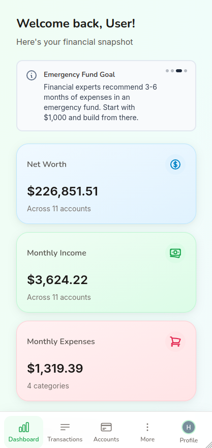 Mobile app showing budget tracking and expense management on smartphone